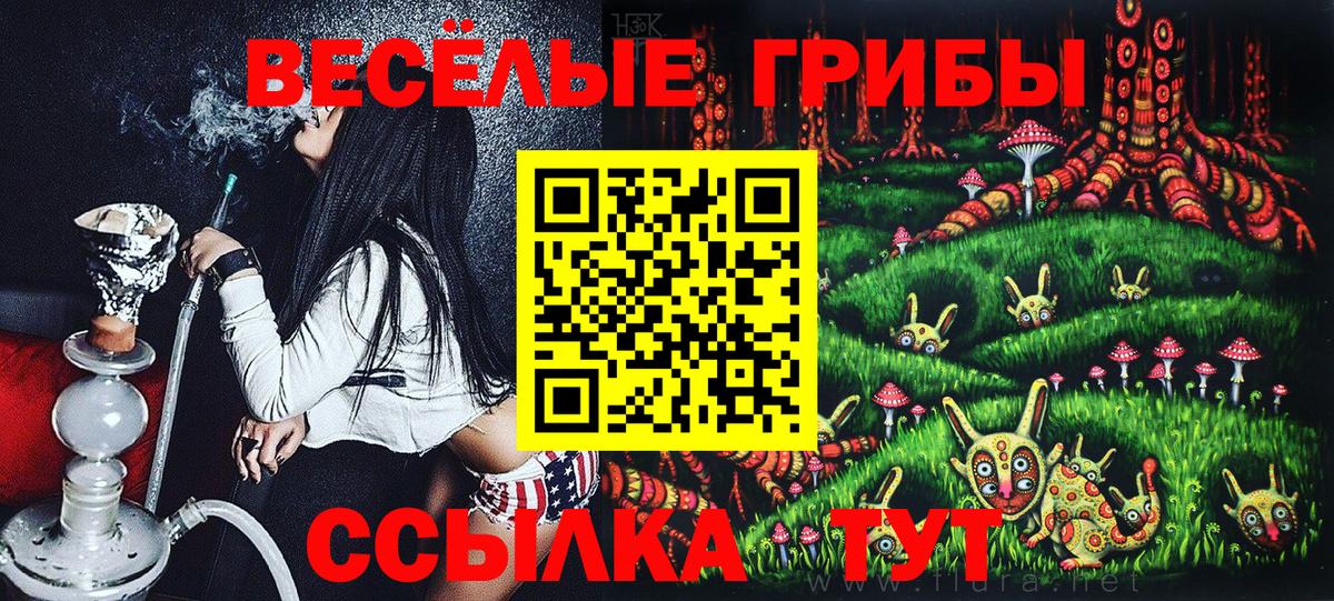 купить наркотики сайты  Псилоцибиновые грибы мухоморы  Гусиноозёрск  Вход с VPN  Псилоцибиновые грибы GOLDEN TEACHER 